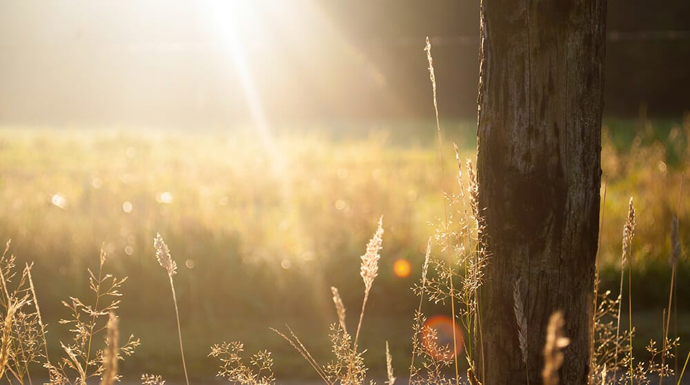 Sunshine Outdoors